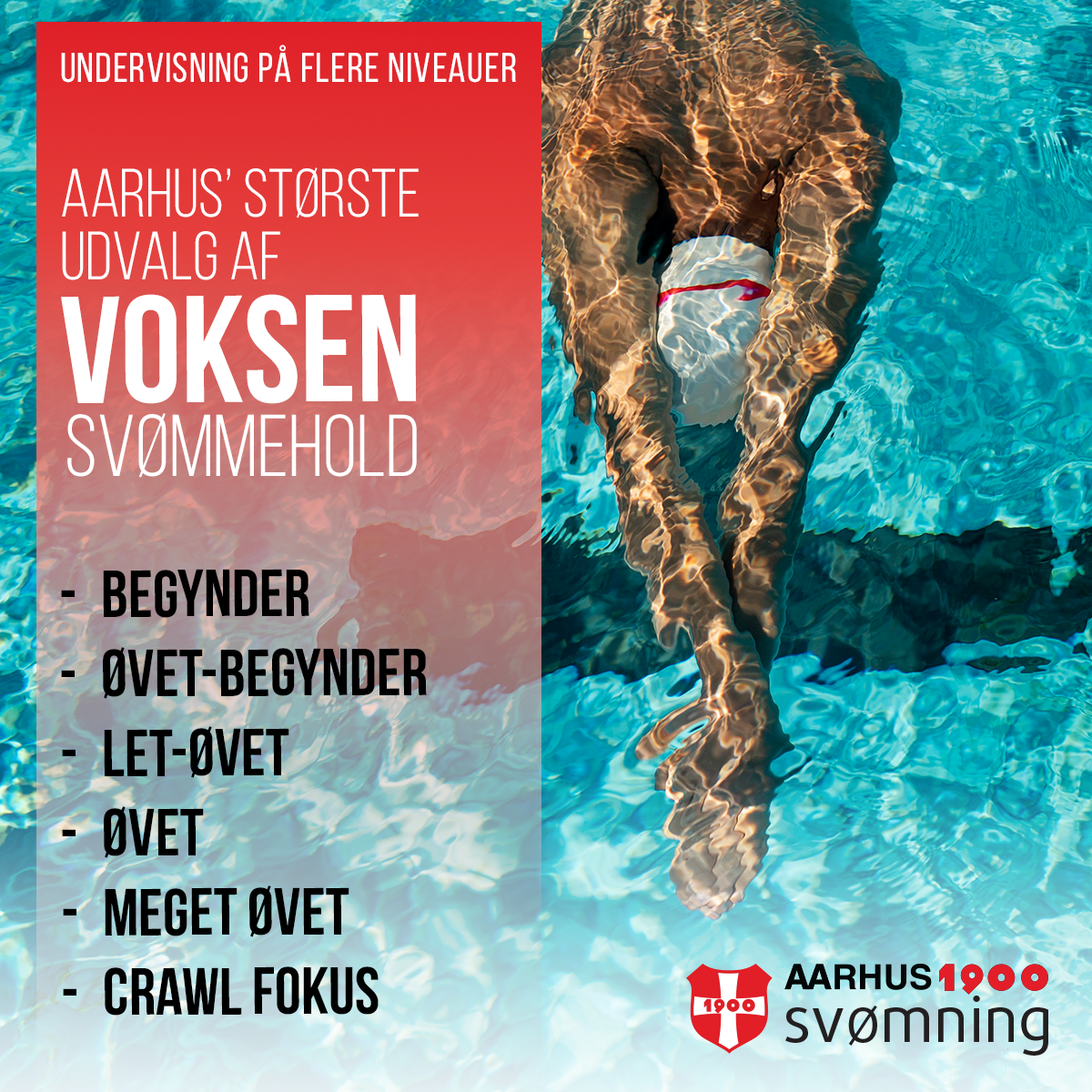 Aarhus1900Svoemning_SeasonAdvertisements_Spring26_AdultSwimClasses_Square2.png