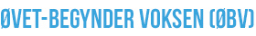 Group3_AdultsClasses_NameTag_ExperiencedBeginner_new2.jpg